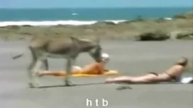 Niedlich, nackte rei ...