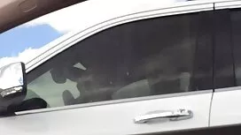 Versuchen Sie die Hi ...