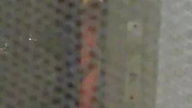 Eine sehr Flut geile ...